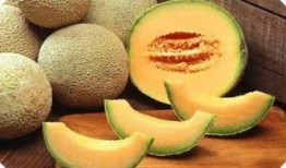 甘肃最新的瓜爆料,瓜果飘香，丰收喜讯传四方